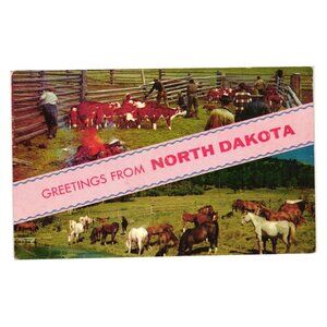Greetings From North Dakota Vintage Postcard Livestock Colorful 1936 Fargo Stamp